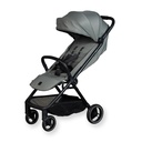 Buggy Easyfold