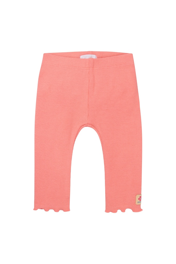 Legging Maeser