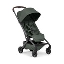 Buggy Aer2