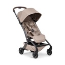 Buggy Aer2