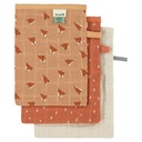 Washandjes tetra (3 stuks) mix