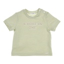 T-shirt devon