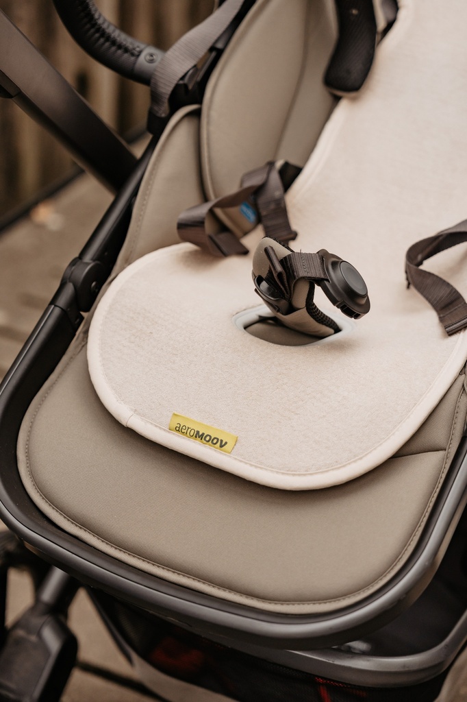 Air layer buggy