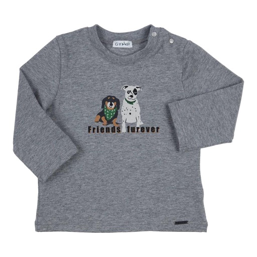 T-shirt Aerochine grey melange