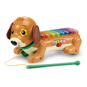 Timmie teckel xylophone  