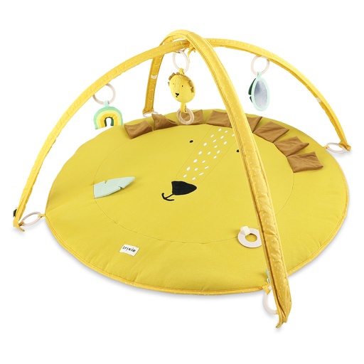 Activity play mat with arches mr. lion 