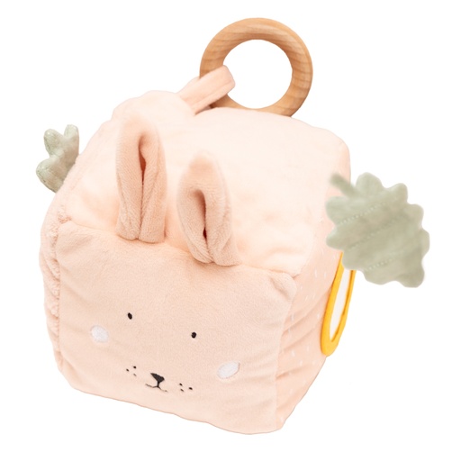 Activity cube mrs. rabbit 
