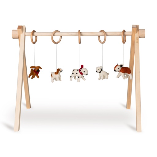 Jouets d'activité pour chiens 5 pièces (sans arc)  