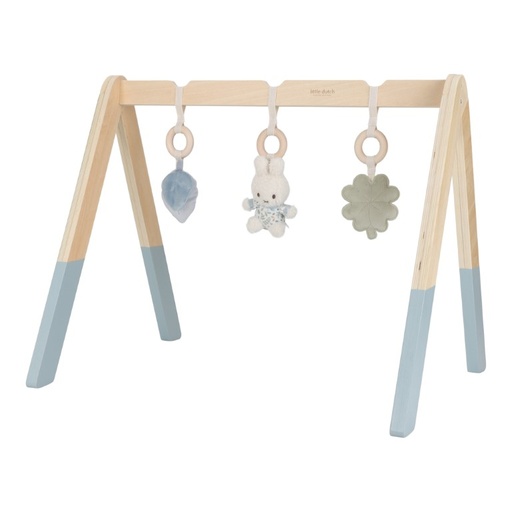 Babygym lucky leaves 