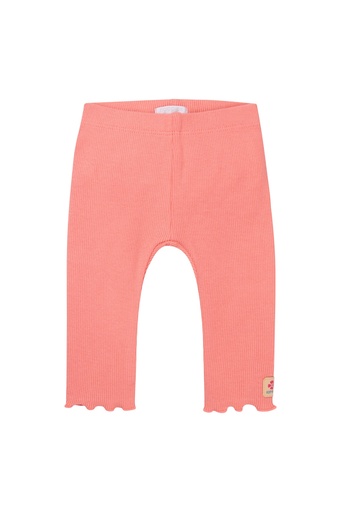 Legging Maeser shell pink