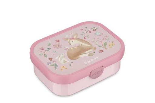Lunchbox Campus fairy garden 