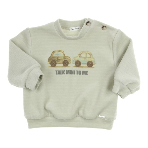 Sweater nico Pale Green 