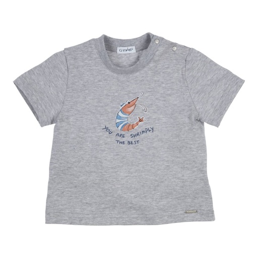 T-shirt aerochine you are shrimply the best grey melange 