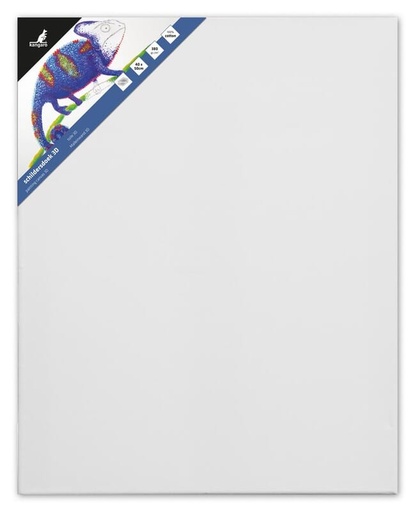 Toile de peintre 40 × 50 cm  