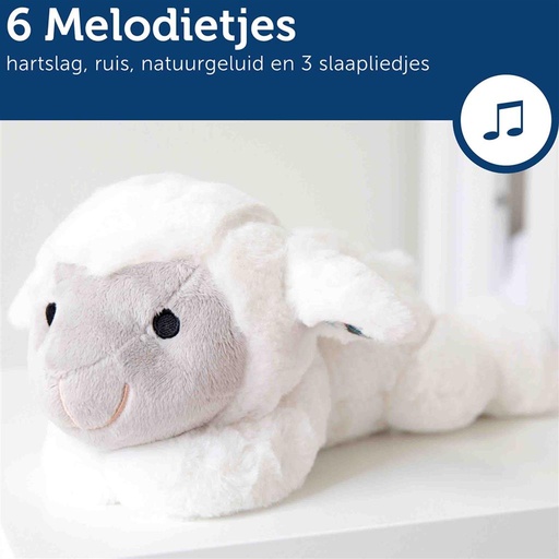 Cuddle heartbeat sheep Liz  