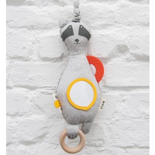 Activiteitenspeeltje mr. raccoon