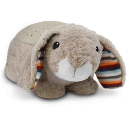 Projector musical star Ruby  