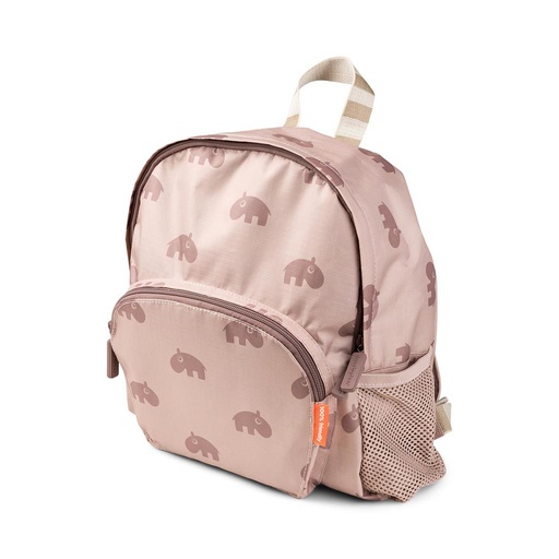 Backpack Ozzo powder 
