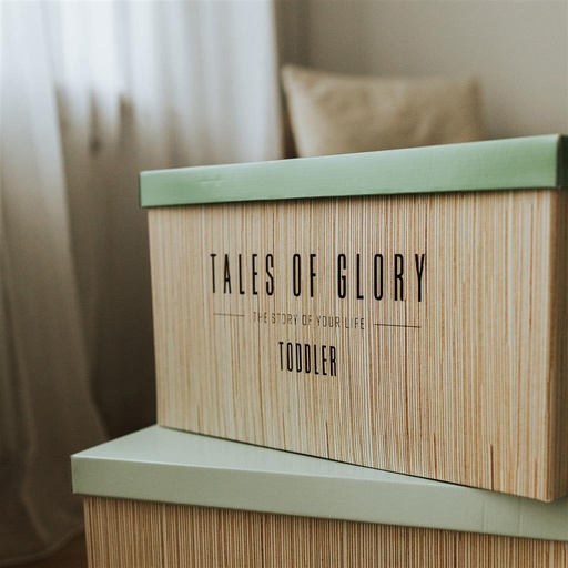Toddler (kleuter) milestone box mint 