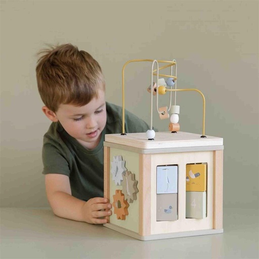 Houten activiteitenkubus little goose