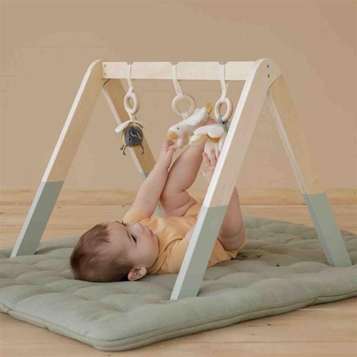 *Babygym little goose groen