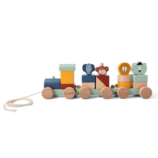 Train animals multi color 