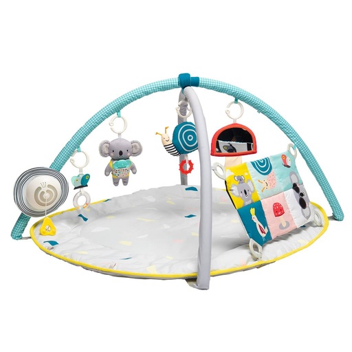 Activity gym all around me multi color 