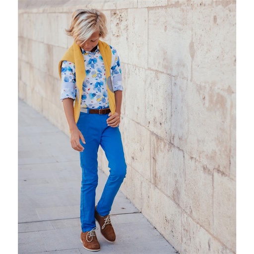 Shirt de visjes 