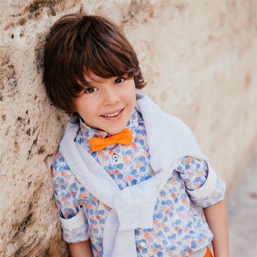 Chemise grijs 