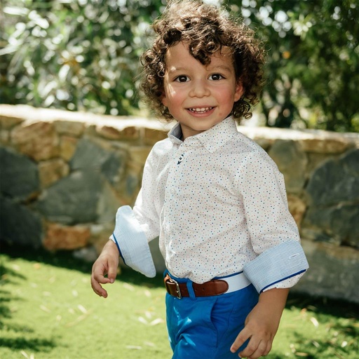 Shirt stippenprint 