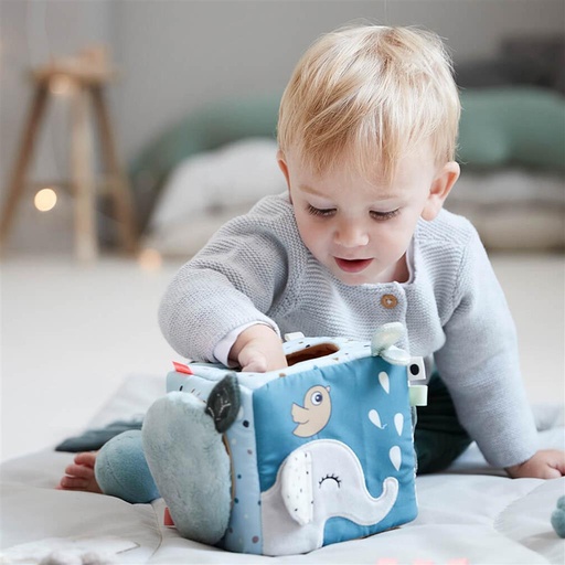 Cube d'activités amis des cerfs  