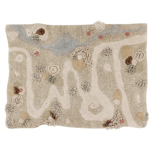 Chemin de tapis de la nature  