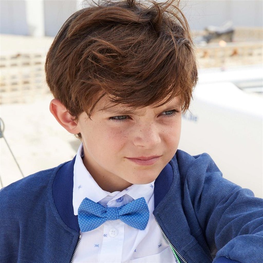 Bow Hector blue dots TU