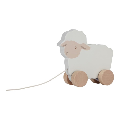 Draft animal sheep Little Farm  