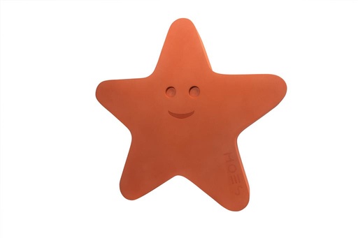 Pierre à empiler Étoile de mer Starfish orange 