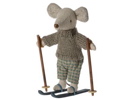 Wintermuis met skiset - grote broer  